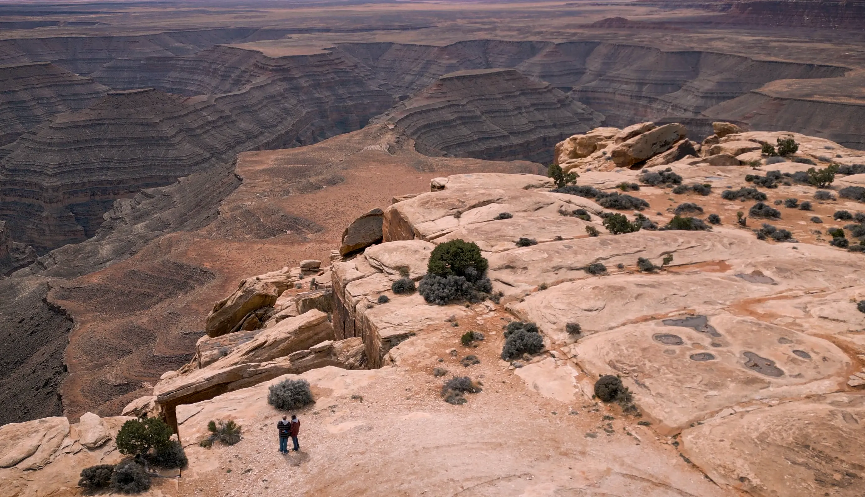 DavisPhotoArts About Us!